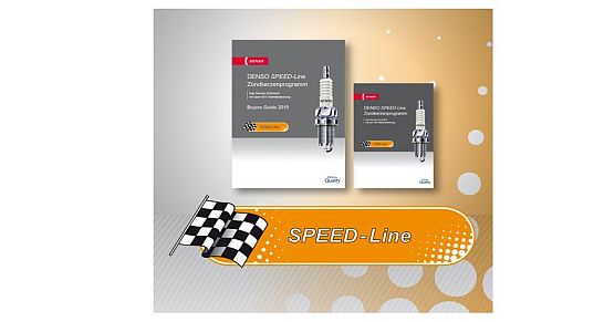 Komplettes Zündkerzen-Programm DENSO