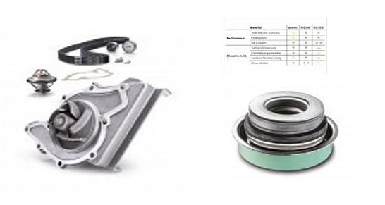 Ruville Wasserpumpen - Schaeffler