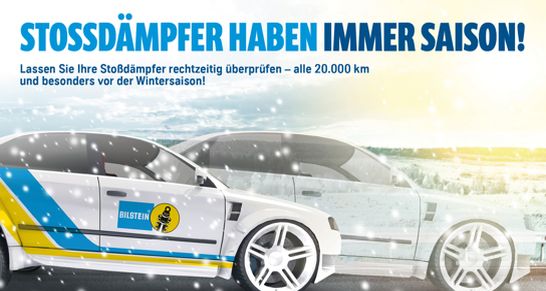 bilstein stossdämpfer