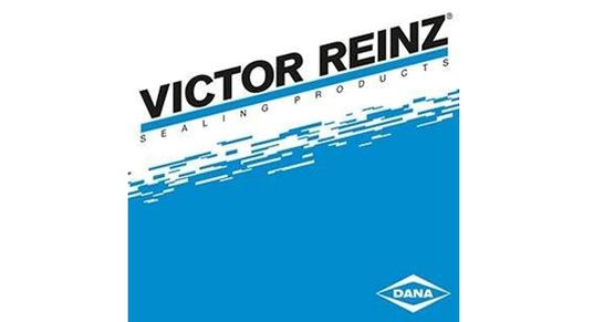 victor reinz dana logo