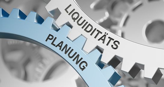 werbas-schnittstelle-liquidität