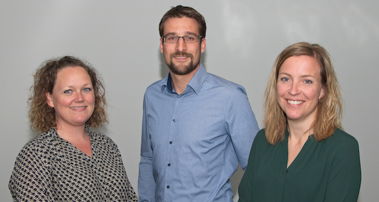 borg automotive-dach region-vertriebsteam
