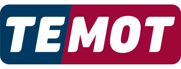 TEMOT Logo