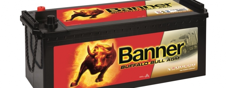 banner-buffalo-bull-agm-710-01.jpg