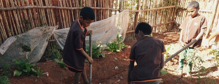 euromaster-verlangert-partnerschaft-mit-planete-urgence-zum-weltumwelttag-pu-christophemichel-projekt-planeteurgence-miarinarivo-madagaskar-1.jpg