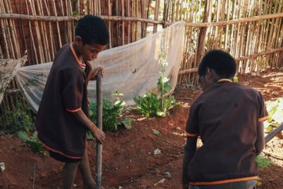 euromaster-verlangert-partnerschaft-mit-planete-urgence-zum-weltumwelttag-pu-christophemichel-projekt-planeteurgence-miarinarivo-madagaskar-1.jpg