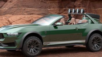 loder1899-ford-mustang-0251024.jpg