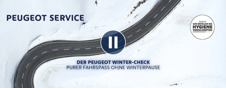 psa-groupe-peugeot-winter-check-inspektion.jpg